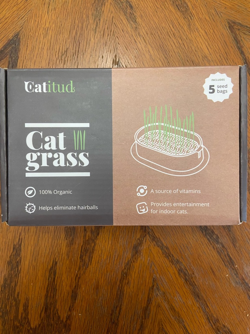 Cat Grass Kit — Brown & Black Indoor Cat Grass